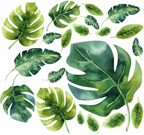  Adesivi murali foglie Monstera 50x100 cm