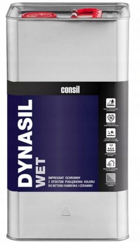 Impregnante Dynasil Wet 5 l