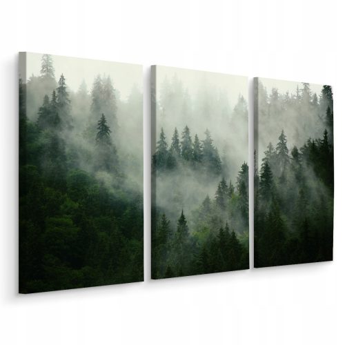 Quadro da Parete Trittico FORESTA NELLA NEBBIA Decoro 3D 120x80