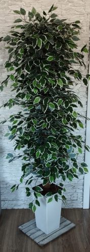 Albero di ficus artificiale Benjamina 170 cm Decorazione