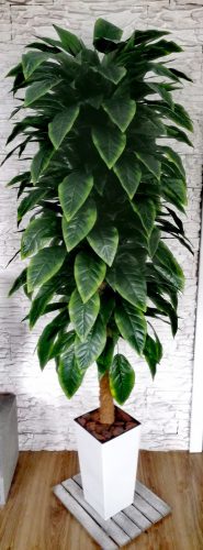 Ficus artificiale Ficus albero 175 cm! Bellissimo!