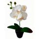 ORCHIDEA ARTIFICIALE orchidee fiore ORCHIDEA 38cm