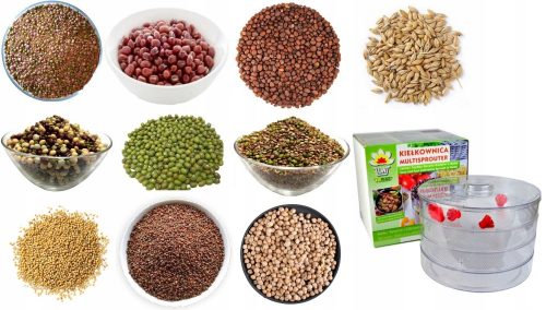  Mix di piante Semi normali 500 g