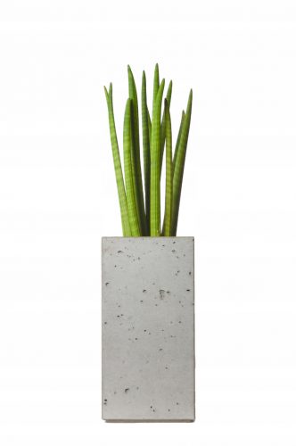 Vaso da giardino - Copertura in cemento grigio 50 x 25 cm