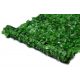 Rete edera verde NB 209a-1,5 verde 3x1,5 m