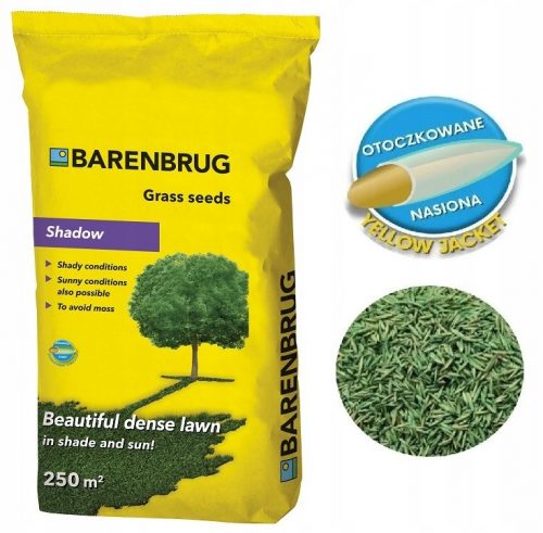  Erba decorativa, miscela di erba, per zone d'ombra, giardino, ristrutturazione Barenbrug 250 m² 5 kg