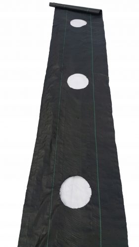 Agrotessile - Pacciamatura agrotessile (antierbacce) Agro-cover nero 80 x 10.000 cm 90 g/m²