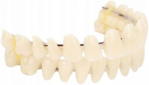  IMPIANTI DENTI ARTIFICIALI DENTI PROTESI IN RESINA