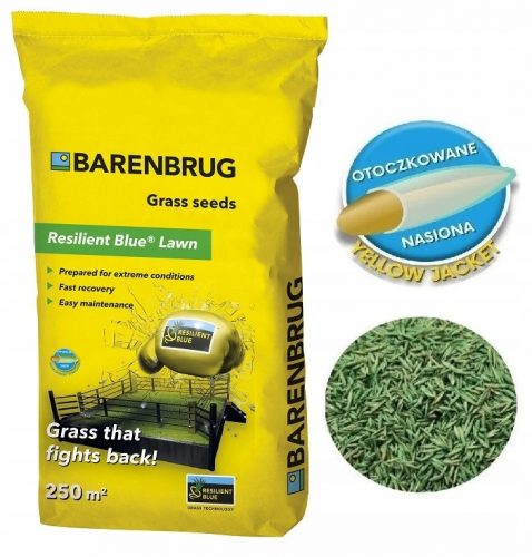  Erba decorativa, miscela di erba, giardino, ristrutturazione, sport Barenbrug 50 m² 5 kg