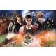  Puzzle Trefl Harry Potter 300 pezzi Puzzle 300 Misterioso Harry Potter TREFL 23001