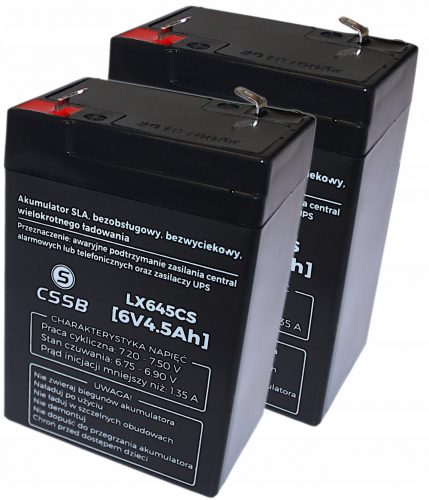  Batterie Biaks AGM 6V 4,5Ah VRLA, 2 pezzi