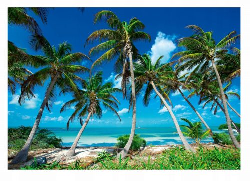 Carta da parati PARADISE BEACH 3D Mare di palme 416x254