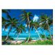 Carta da parati PARADISE BEACH 3D Mare di palme 416x254