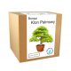  Set per coltivare un albero Bonsai, Maple Palm Leaf