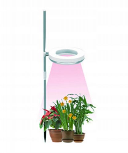  GROW lampada da terra per la coltivazione di piante Sunmag 20 W