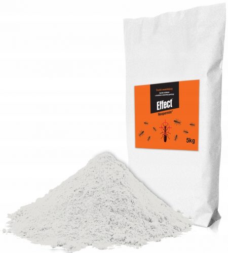  POLVERE FORMICHE CIMICI SCARAFAGGI 5KG + GUANTI + PALA + BOTTIGLIA - KIT PER SPARGERE POLVERE FORMICHE