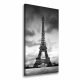 Fotoquadro su tela Torre Eiffel Parigi 60x120 cm