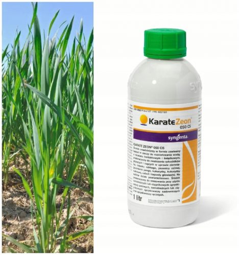  Karate Zeon 050 CS Insetticida Syngenta 1l