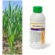  Karate Zeon 050 CS Insetticida Syngenta 1l