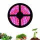  GROW Striscia LED per la coltivazione di piante LED-ONE 72 W