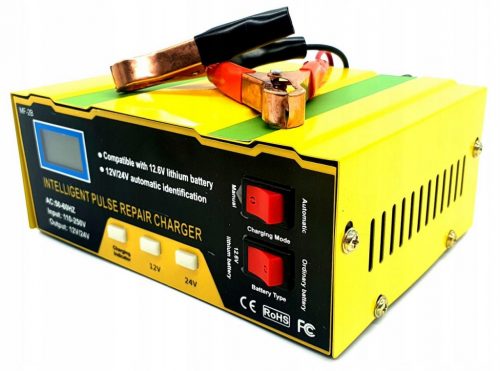  RADDRIZZATORE AUTO PER BATTERIA 12V 24V 14A