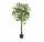 Ficus in vaso, verde, alto, 150 cm, artificiale