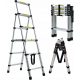 Scala DayPlus 1,7 m in alluminio da 6 a 150 kg