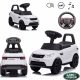  RIDDLE PUSHER WALKER 3 IN 1 LAND ROVER DISCOVERY AUTO GRANDE AUTO PER BAMBINI