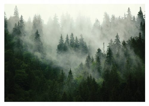 Carta da parati fotografica NATURE FOREST nella nebbia 400x280cm per il soggiorno + ADESIVO EFFICIENTE PER CARTA DA PARATI FOTOGRAFICA NON POSATA 50G