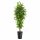 Albero artificiale fiori Fico 170 cm