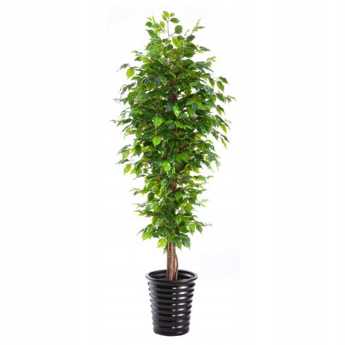 Albero artificiale fiori Fico 170 cm