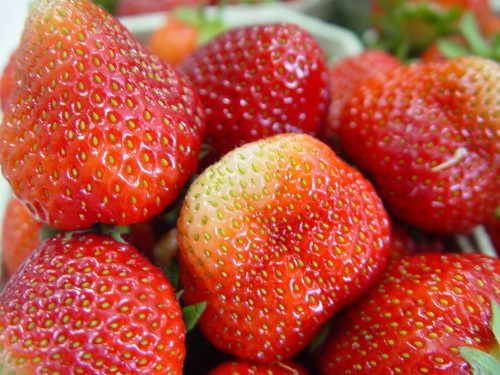  PACCHETTO SEMINA Fragole Fragole di fragole SUPER frutta per 5 mesi