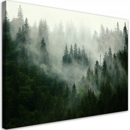 Quadro su tela, Natura foresta nebbiosa 120x80 120x8