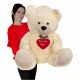 UN GRANDE REGALO TEDDY TEDDY PER SAN VALENTINO SIEDITI DA SOLO