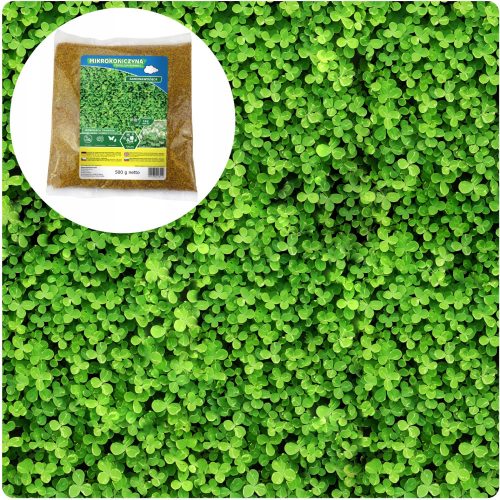  Erba decorativa, per zone secche, zone d'ombra, giardino, ristrutturazione, sport Arpon 400 m² 0,5 kg