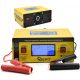  Raddrizzatore a microprocessore LCD 6V 12V 24V 10A