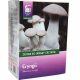  Set per la coltivazione di funghi eryngii funghi ostrica Planto sotto forma di substrato secco con micelio 3 kg