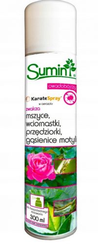  Karate Spray aerosol 300ml pronto all'uso