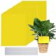  Sticky Wholesale Prima sticky in vaso giallo 10 pz.