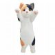  LONG CAT, gatto, mascotte, peluche, come un peluche vivente