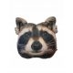  CUSCINO 3D con TESTA DI RACOON RACOCOB per dormire