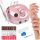  Fresatrice per unghie Lewer PINK NAIL DRILL 65W + SET FRESE PRO 65W