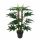 Albero artificiale Shefler Tree 60 cm