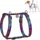  Pettorina anatomica per cani ad H con passaporto QR, Summer, S