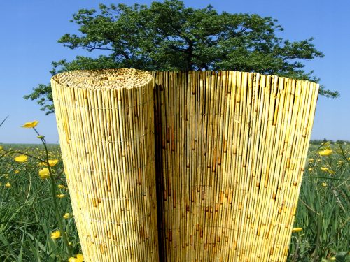 Maglia, rete del cancello - Canniccio, protezione, recinzione, recinzione 1,5x6,0 m