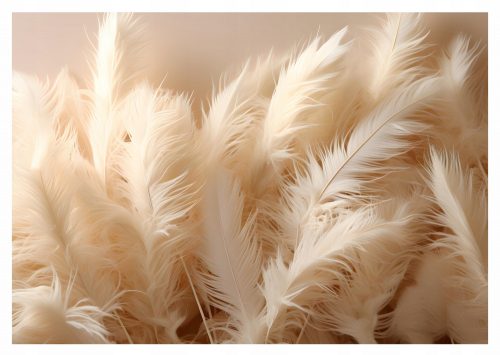 Carta da parati fotografica 3D FEATHERS per la camera da letto, il soggiorno, 312x219