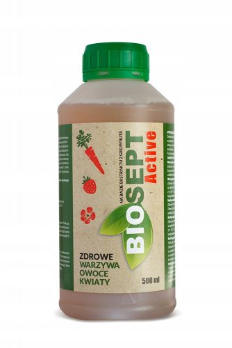 Biosept Active 500ml Cintamani