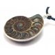  Collana PENDENTE con ammonite fossile [W1401]