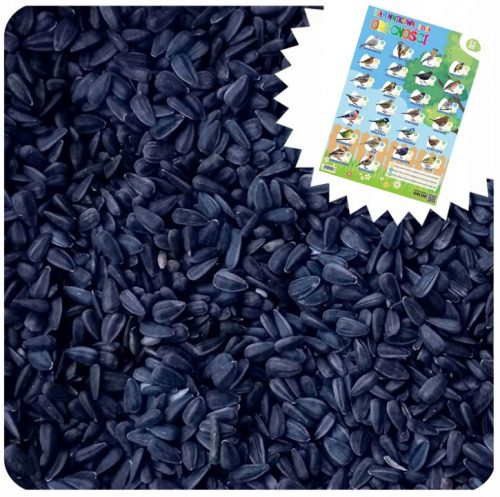  ALIMENTO DI SEMI DI GIRASOLE NERO PER UCCELLI SELVATICI PER POSTER DA 10 KG