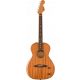  Fender Highway Series Parlor RW Chitarra elettroacustica interamente in mogano